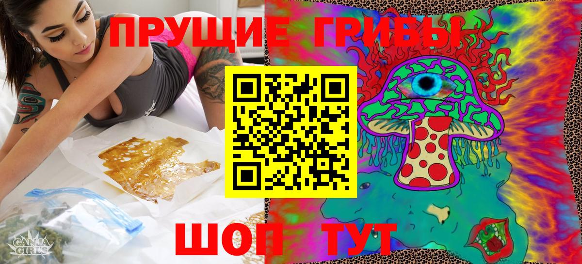 Псилоцибиновые грибы мухоморы  Вход с VPN  Тайшет  Галлюциногенные грибы Psilocybe 