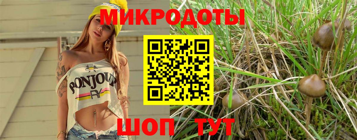 Галлюциногенные грибы Psilocybine cubensis Тайшет