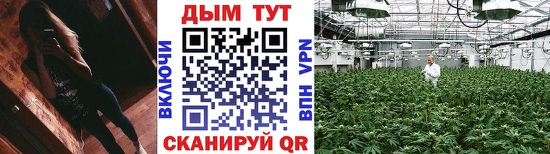 Шишки марихуана конопля  Тайшет 